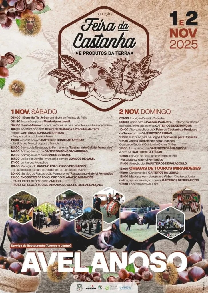 Feira da Castanha 2025 em Avelanoso