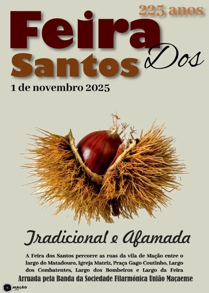 Feira dos Santos 2025 em Mação