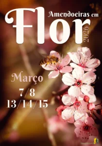 Amendoeiras em Flor 2026 em Mogadouro