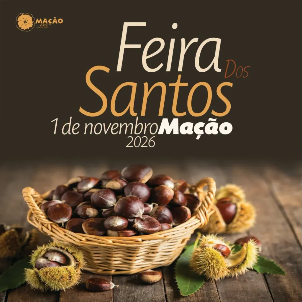 Festa de Mação (Santos) 2026