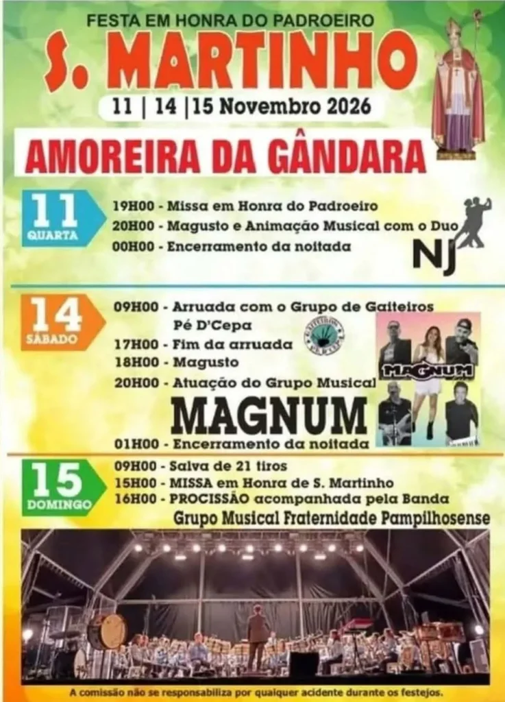 Festas de Amoreira da Gândara (São Martinho) 2026